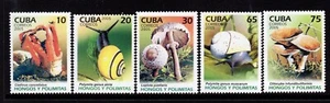 CUBA FUNGHI MUSHROOM PILZEN RIF 103 - Imagen 1 de 1