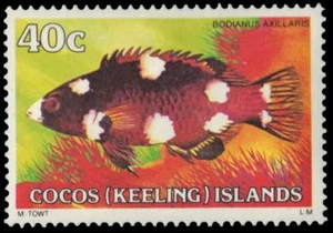 COCOS ISLANDS 45 (SG43) - Coral Hogfish "Bodianus axillaris" (pa5253) - Picture 1 of 1