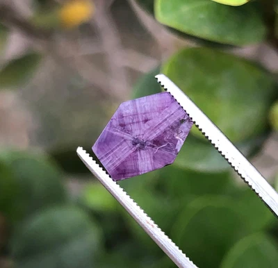 3.20 ct top quality natural trapiche corundum ruby loose gemstone from kashmir - Image 1 of 4