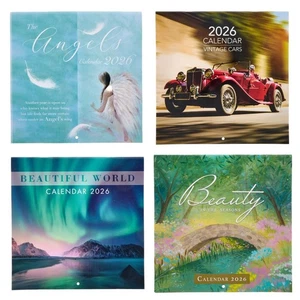 Calendario grande 2025 ~ Días pasados, trenes de vapor, jardín botánico o ángeles - Imagen 1 de 13