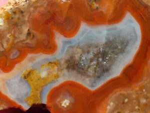 Mexican Red Hot Berrendo Thunderegg Agate Rough Slab Chihuahua Mexico - Picture 1 of 6