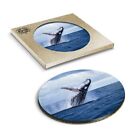1 x Boxed Round Coasters - Humpback Whale Ocean #2328