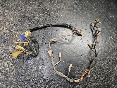 Suzuki TS 185 TS185 1977 original ambas secciones de arnés de cables telar de cableado  Foto 1 de 4