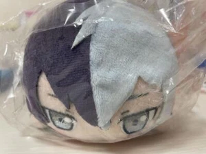 Project Sekai Colorful Stage Toya Aoyagi VIVID BAD SQUAD Nesoberi Plush Doll  - Picture 1 of 2