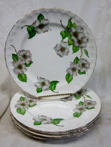 5 Pope Gosser DOGWOOD SALAD PLATES w SHELL EDGE and Gold Trim VGC 8 3/8 - Picture 1 of 2
