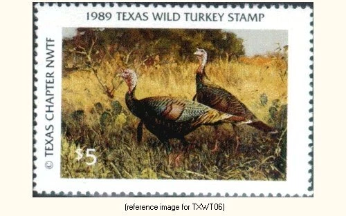 D2K NWTF Texas Wild Turkey Fed. Stamp 1989 $5 - Image 1 of 1