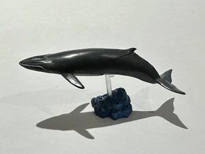 Kaiyodo Japan Exclusive Bryde’s Whale Miniature Figure - Picture 1 of 5