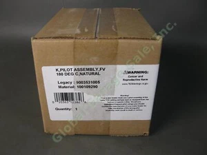 AO Smith 100109290 K FV Pilot Assembly 180 DEG C Natural Gas 9003531005 NG Kit - Picture 1 of 2
