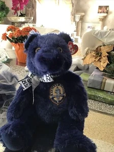 New York Yankees Baseball DNKY Mariano Rivera #42 Plüschbär TY LARGE EUC mit Etikett - Bild 1 von 5