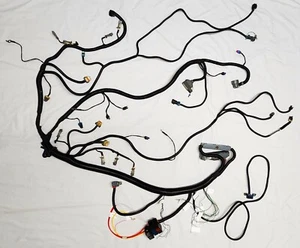 LS Harness Drive By Wire Standalone 4L80E AC 4.8 5.3 6.0 GreenBlue ECM DBW Gen 3 - Picture 1 of 12