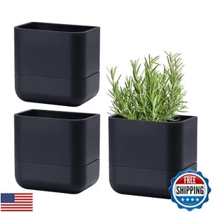 Phoenix Vine 6.5-Inch Wall Mounted Self-Watering Planter Pot for Indoor House - Picture 1 of 5