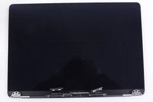 OEM MacBook Pro 13in A2159 A1989 A2289 A2251 2018 2019 LCD Assembly Gray C - Picture 1 of 5