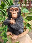 Vivid Art Baby Chimpanzee Resin Ornament Monkey Primate Exotic Tikki Bar Jungle 
