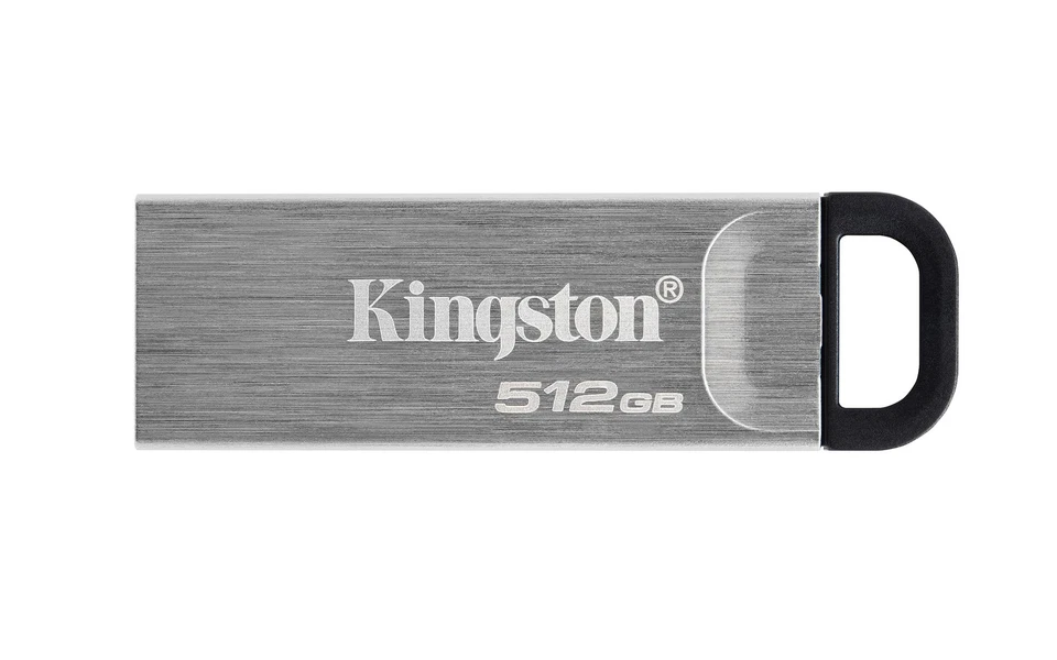 Memoria USB Kingston DTKN/512GB Argentato 512 GB