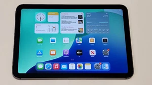 Apple iPad Mini 6th Gen. 256GB (Space Gray) Wi-Fi + Cellular - Unlocked - Picture 1 of 8