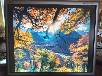 Vintage NEC LCD175VX 17" Gaming Computer Monitor - Image 1 of 4