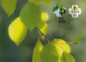 Birch Forest Stamps Finland Mint Maxi Card FDC 2011 - Picture 1 of 1