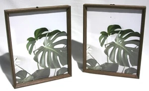Picture Frames (Set of 2) for 8" x 10" Photos - Top Loading - Picture 1 of 4