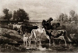 PÂTURAGE au bord d'une MARE - Gravure 19e siècle, d'après peinture de Van Marcke - Picture 1 of 2