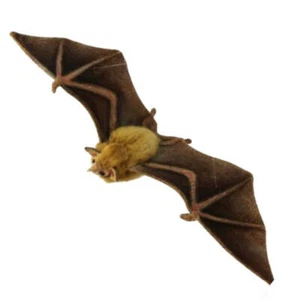 Hansa Orange Nectar Bat Realistic Animal Collection Plush Stuffed Toy (42cm W) - Picture 1 of 1