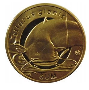 POLONIA 10 Miedziakow 2009 (Siluro) SILURUS GLANIS -SUM Poland - Polska - Imagen 1 de 2
