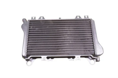 Kawasaki Ninja ZX7 ZX750R 750 GENUINE Engine Radiator Nos NEW 39060-1073 *2248A - Imagem 1 de 4