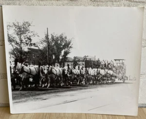 RINGLING BROS BARNUM & BAILEY CIRCUS 24 HORSE TEAM 8x10 PHOTO EARLY 1900s - Picture 1 of 6