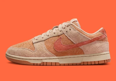 Para mujer Nike Dunk Low Shimmer Burnt Sunrise ámbar marrón HF5075-287 talla 7,5 Foto 1 de 4