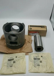 Cummins KIT,ENGINE PISTON 4955326 (3640796, 3089251, 4001416) - Picture 1 of 1