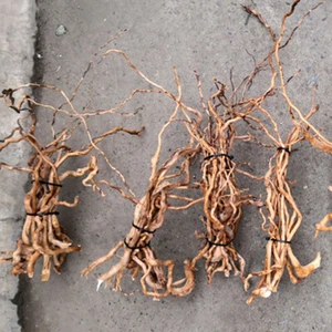 1Bunch Natural Driftwood Root Trunk Aquarium Ornament Fish Tank Landscape Random - Picture 1 of 8
