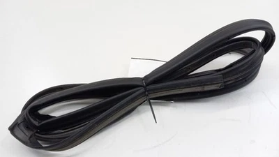 Junta de goma para pasajero derecho trasero Ford Fiesta 2014 2015 2016 Foto 1 de 4