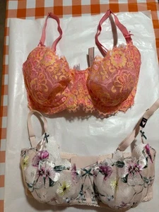 Two VICTORIA SECTET DREAM ANGEL DEMI EMBROIDERED BRAS (NWT) 32 DDD - Picture 1 of 5