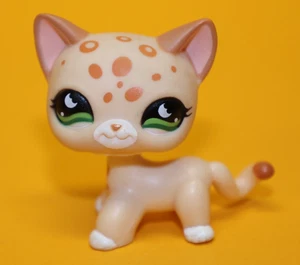 Littlest Pet Shop Hasbro LPS Figur 852 - Picture 1 of 6