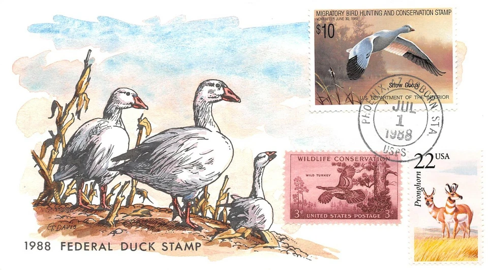 RW 55, 1988 Federal Duck Stamp, Snow Goose, Gary Davis hand painted [022122.551] - Image 1 of 1