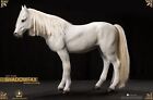 Asmus The Lord Of The Rings Gandalf?S Horse Shadowfax 1/6  Only