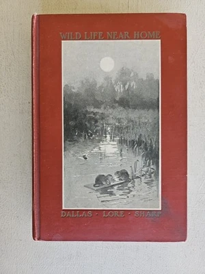 Wild Life Near Home by Dallas Lore Sharp FIRST EDITION 1901 .Hardback. Foto 1 de 4