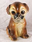 unmarked large pug 5 inches tall  Pedigree toy breed dog
