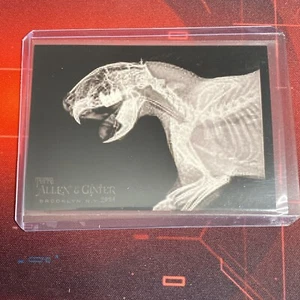 Oregon Zoo Cape Porcupine 2024 Topps Allen & Ginter X-Ray’d #XR-12 - Picture 1 of 2