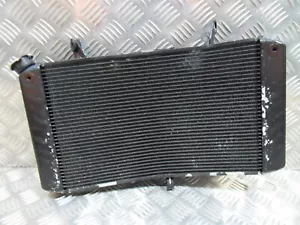 Unidad de radiador original Yamaha FZ1 / FZ8 DENSO 2006 a 2015 - Imagen 1 de 18