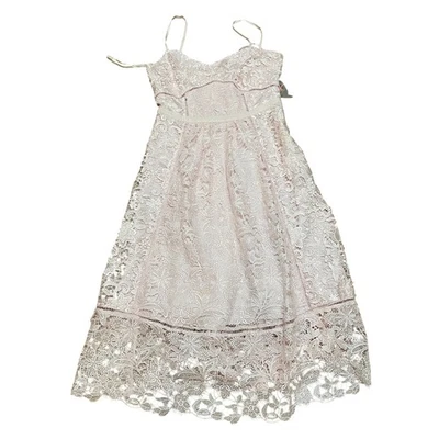 Ted Baker Women 6-8 Valens Lace Midi Dress Pale Pink Midi Dress Party Formal NWT - Image 1 of 4
