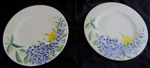 NUEVO Lote (2) Italia La Ceramica 8 1/2" PLATOS DE POSTRE Floral De Colección Cajón Barril - Imagen 1 de 3