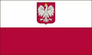 Valley Forge Polonia Bandera Ancestral 3 ft x 5 ft Nailon con ojales de metal Águila - Imagen 1 de 5