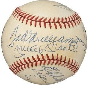 500 Home Run Club Multi Signed by 11 OAL Baseball Mickey Mantle PSA - Picture 1 of 7