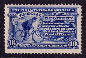US Scott E6, 1902 Special Delivery, 10c ultramarine, H MINT - Picture 1 of 1