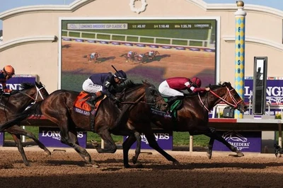 DVD - 2025 Breeders' Cup Television Broadcast - NBC - USA - FanDuelTV - 8+ Hours - Image 1 of 4