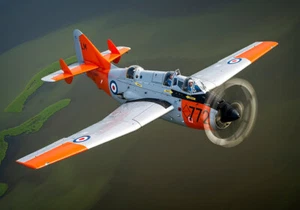 Fairey Gannet canvas print  various sizes free delivery - Picture 1 of 1