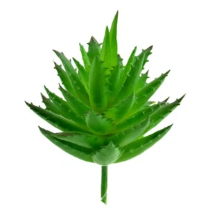 Jardín de hadas en miniatura suculento artificial y/o planta de aloe vera - Imagen 1 de 22