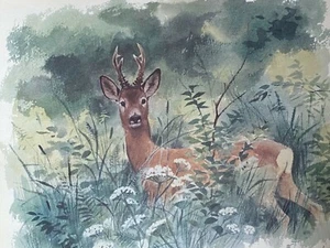 Gunnar Brusewitz - Bild 1 von 3