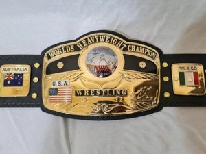 NWA Domed Globe heavyweight Wrestling Championship Belt Adult Replica 4mm ZInc - Picture 1 of 3