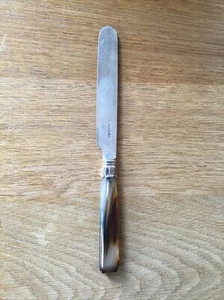 ANTIQUE SOLID SILVER MOUNTED AGATE HANDLE BUTTER KNIFE SHEFFIELD 1842 - Picture 1 of 3